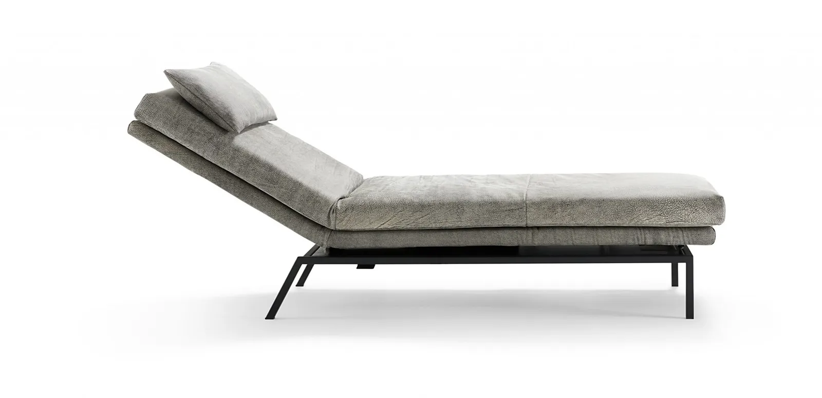 Signet - Liege Yoko – Bild 3