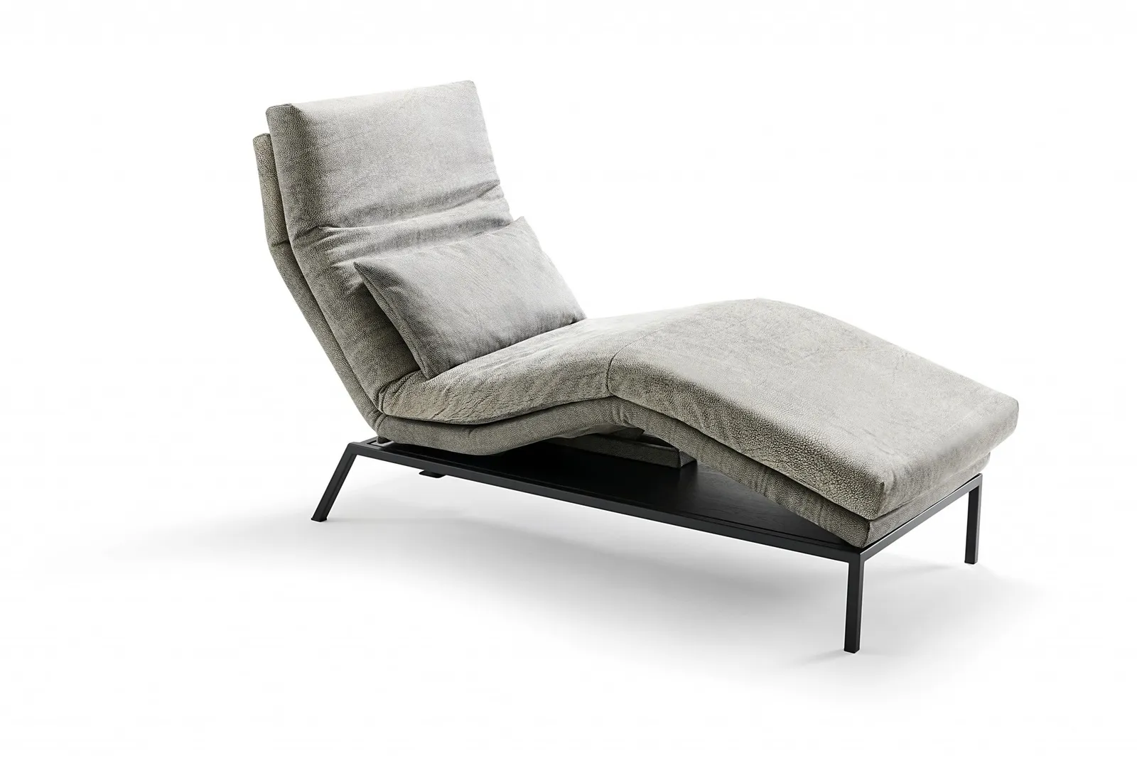Signet - Liege Yoko – Bild 6