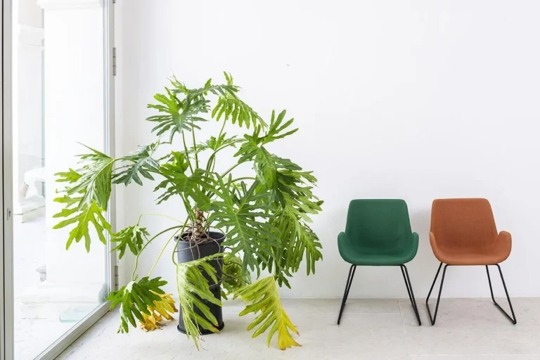 Alea Office - Stuhlserie Marte