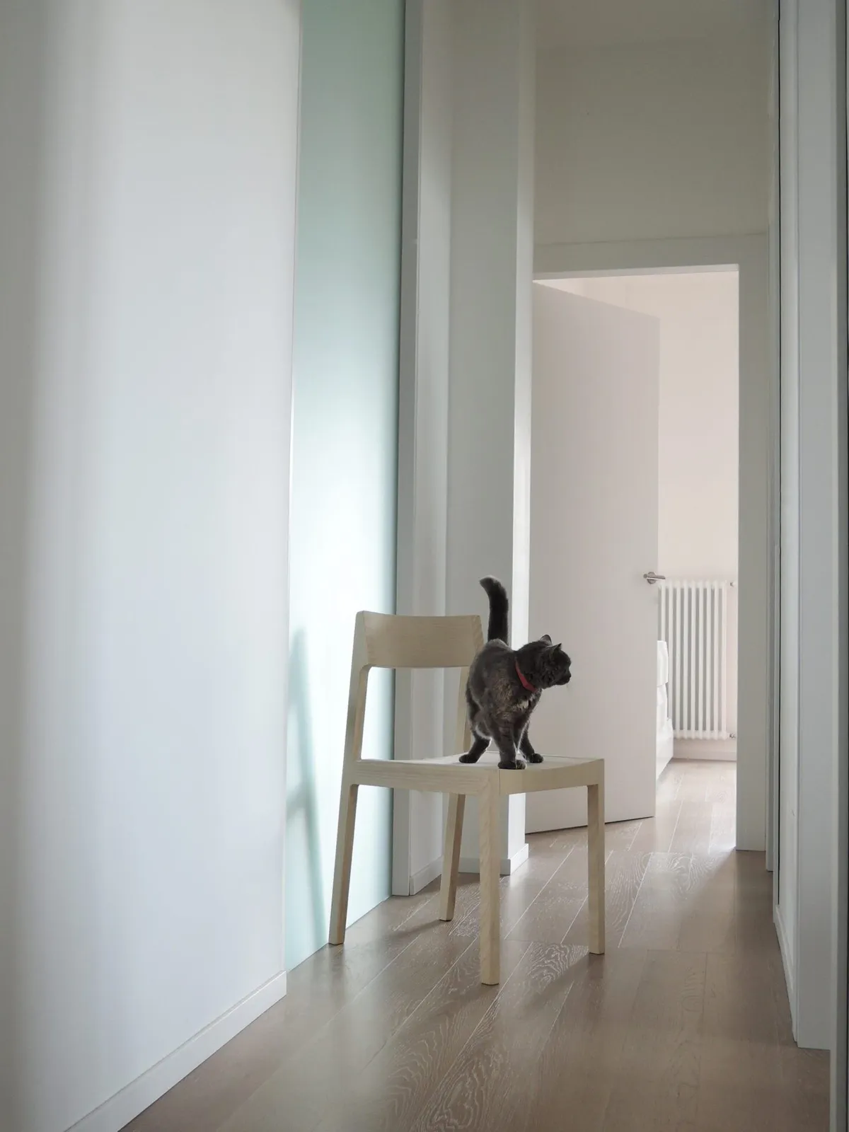 Bedont - Stuhl Clip – Bild 3