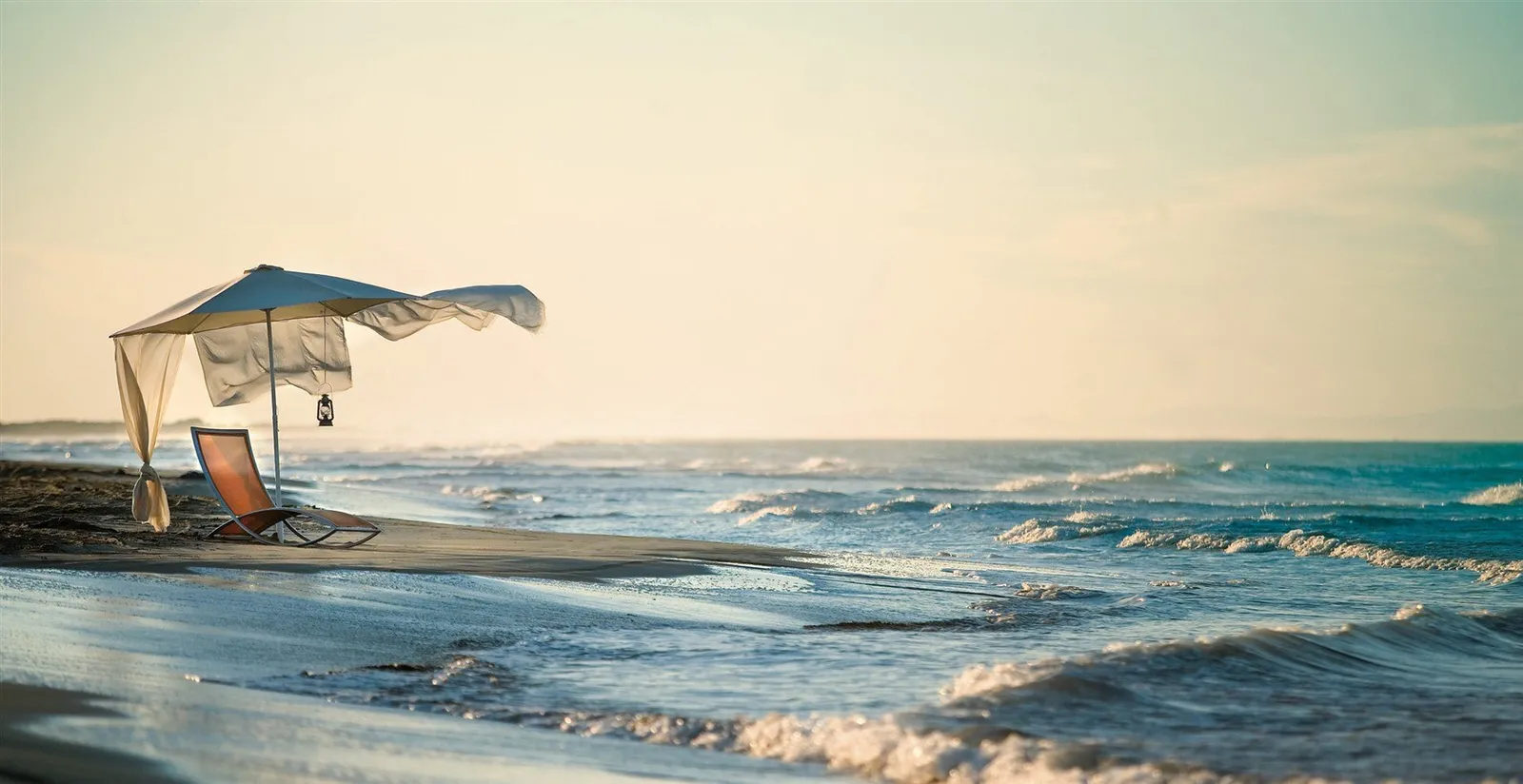 Ego Paris - Liege Premier – Bild 5