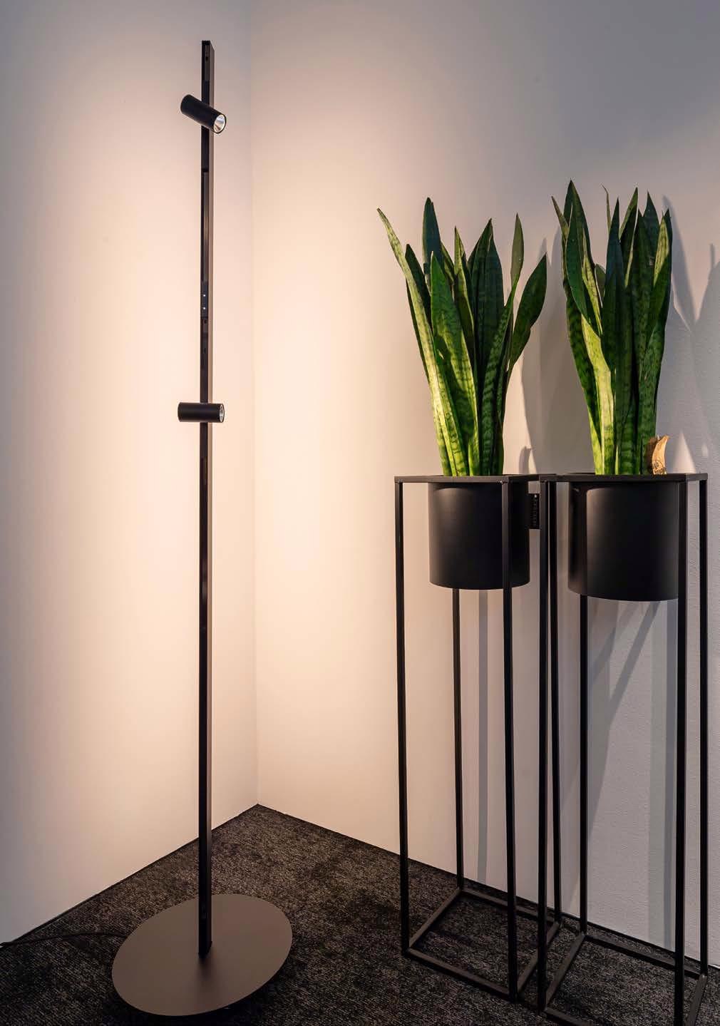 Molto Luce Magnetics: schlankes Standprofil mit ausrichtbaren Strahlern neben zwei hohen Pflanzgefäßen