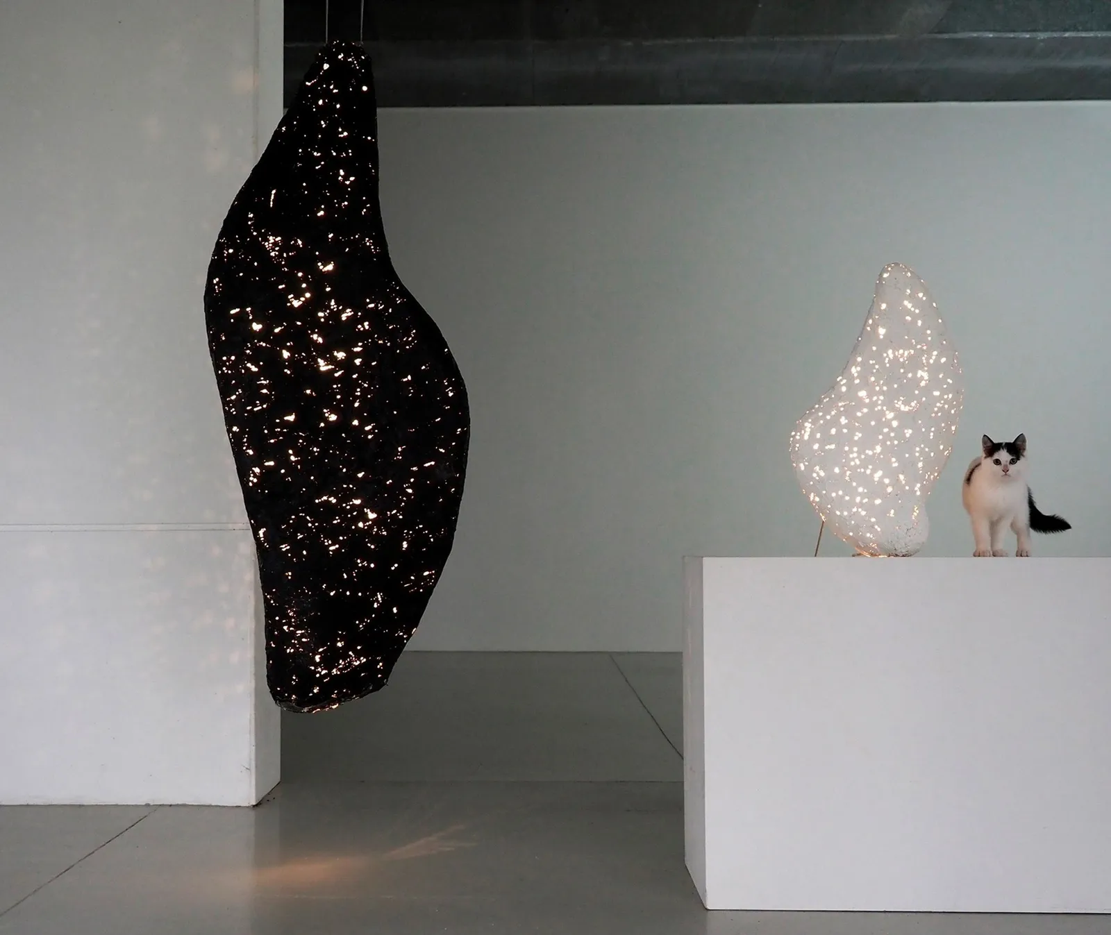 Arturo Álvarez - Leuchtenserie Natura – Bild 4