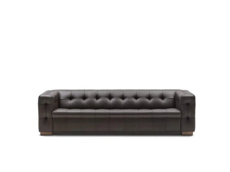 de Sede - RH-306 Design Robert Haussmann