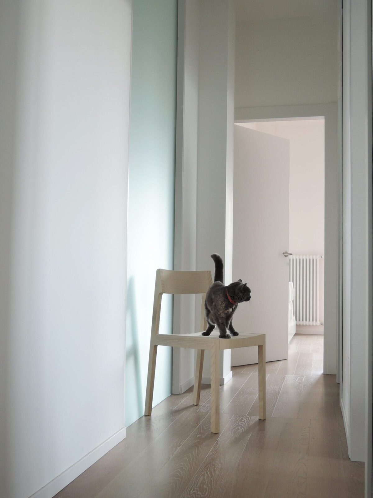 Bedont - Stuhl Clip – Bild 3