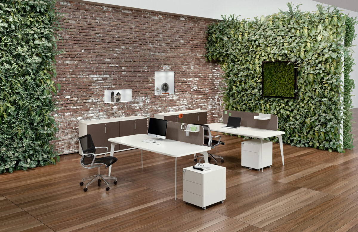 Alea Office - Programm Blade