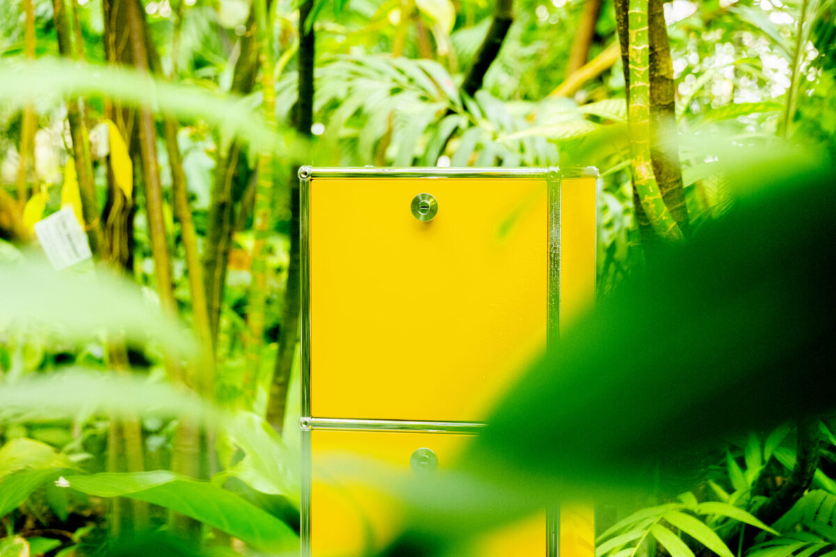 Konektra - Goldgelb – Bild 5