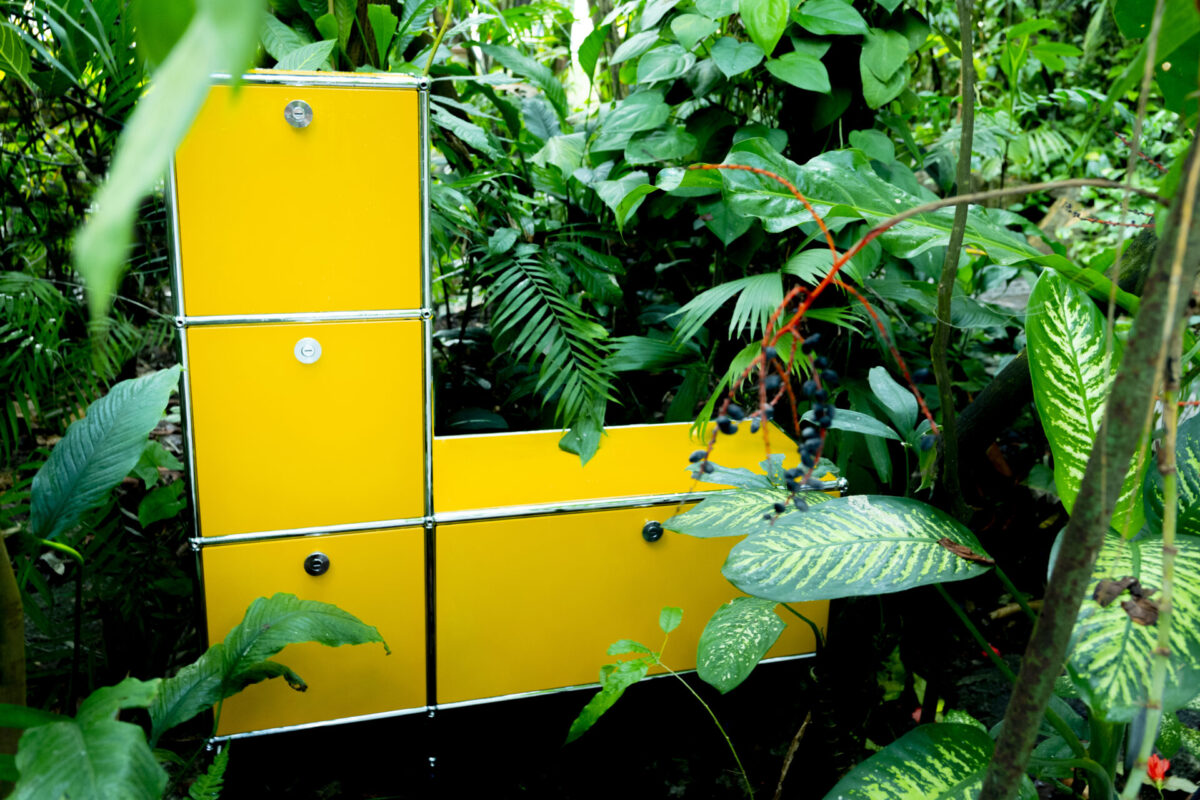 Konektra - Goldgelb – Bild 9