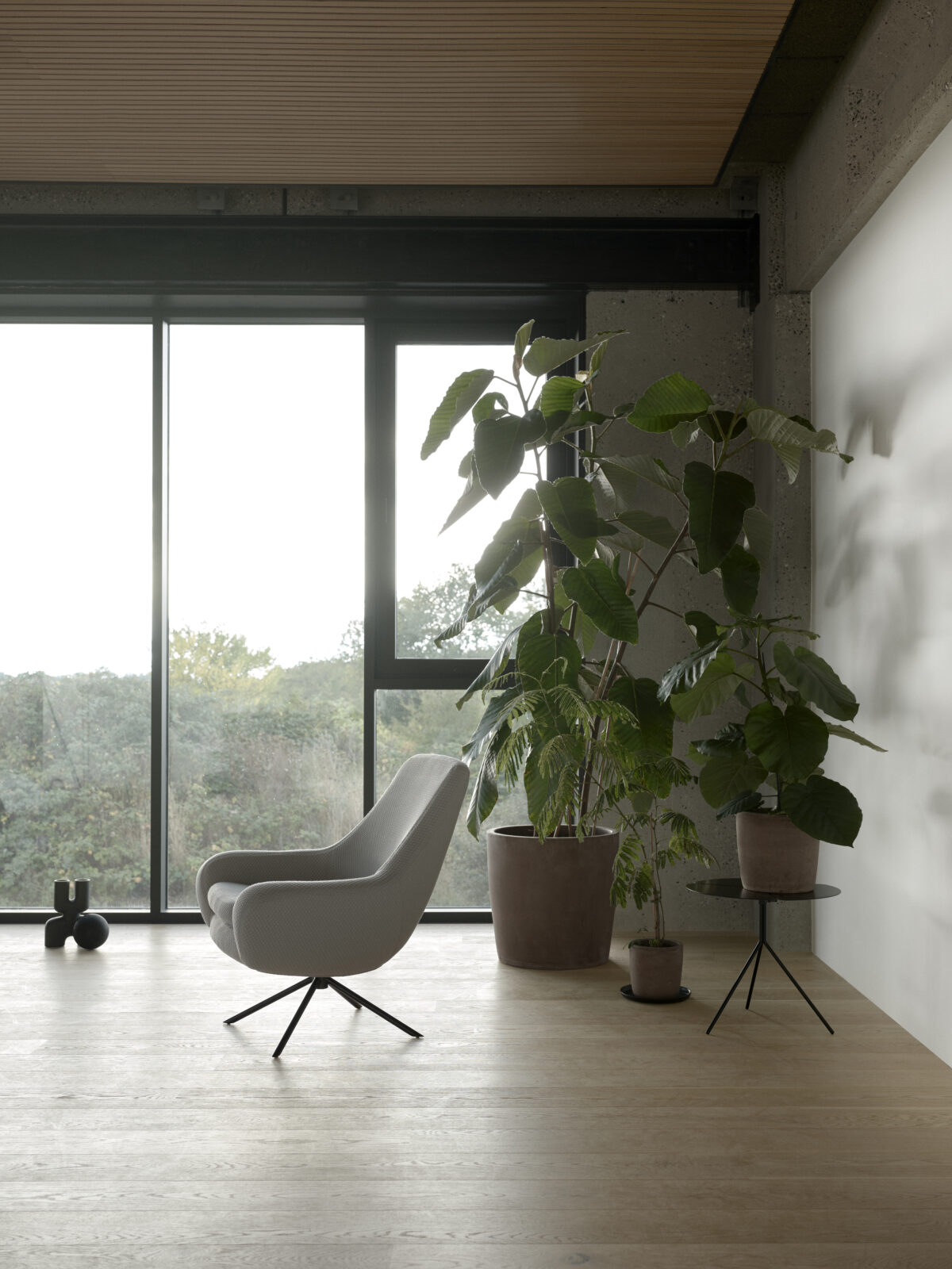Softline - Sessel Noomi – Bild 4